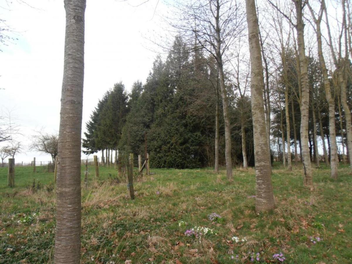 Maison De Charme Avec Grand Jardin, Proche Haras Du Pin, Animaux Acceptes, Ideale Pour Familles - Fr-1-497-5 Saint-Pierre-la-Riviere